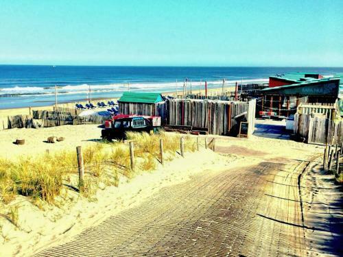 Sea Lodges Zandvoort - Pitstop 4 - One Dog Allowed