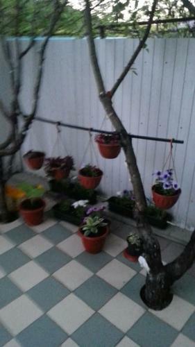 Hostal Guest House Magia