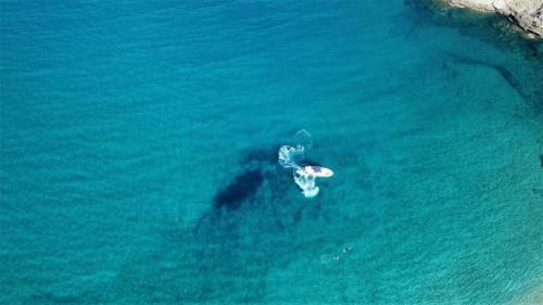 Agroturismo Onar Andros