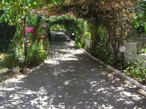 Apartamento Knossos