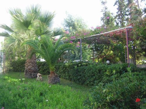 Apartamento Knossos