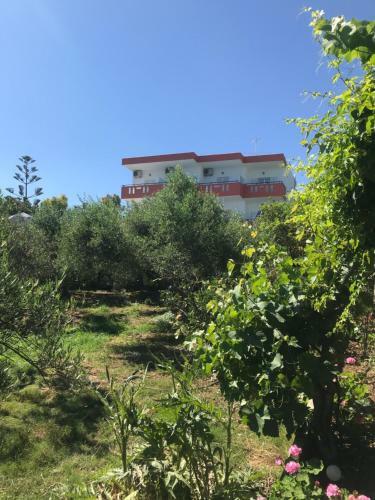 Apartamento Knossos