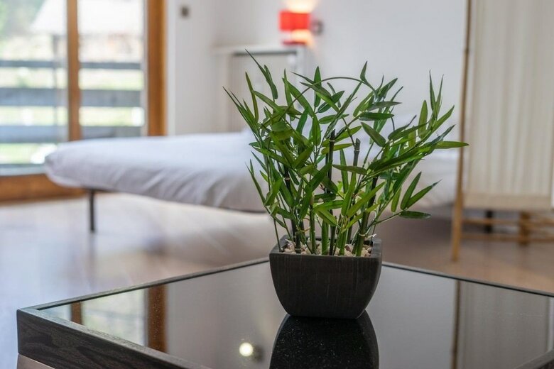 Apartamento Bellevue D'argenti�re Private Studio