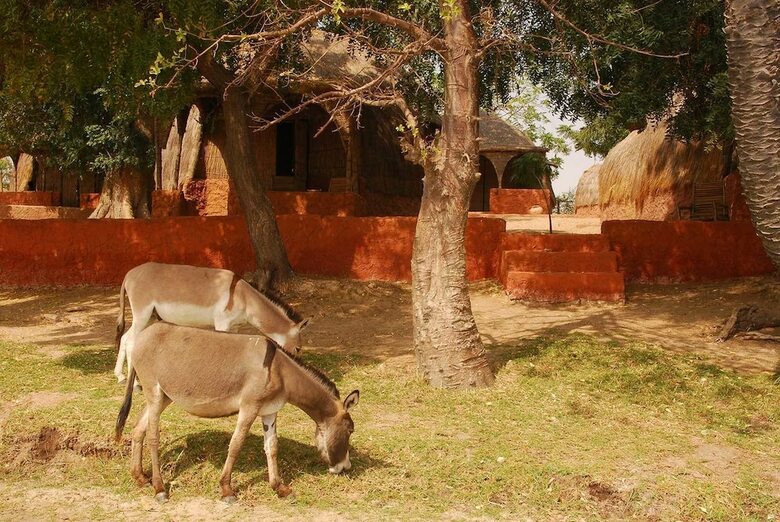 Posada L'ecolodge De Simal