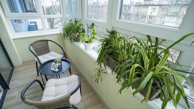 Apartamentos Ecoloft Studios