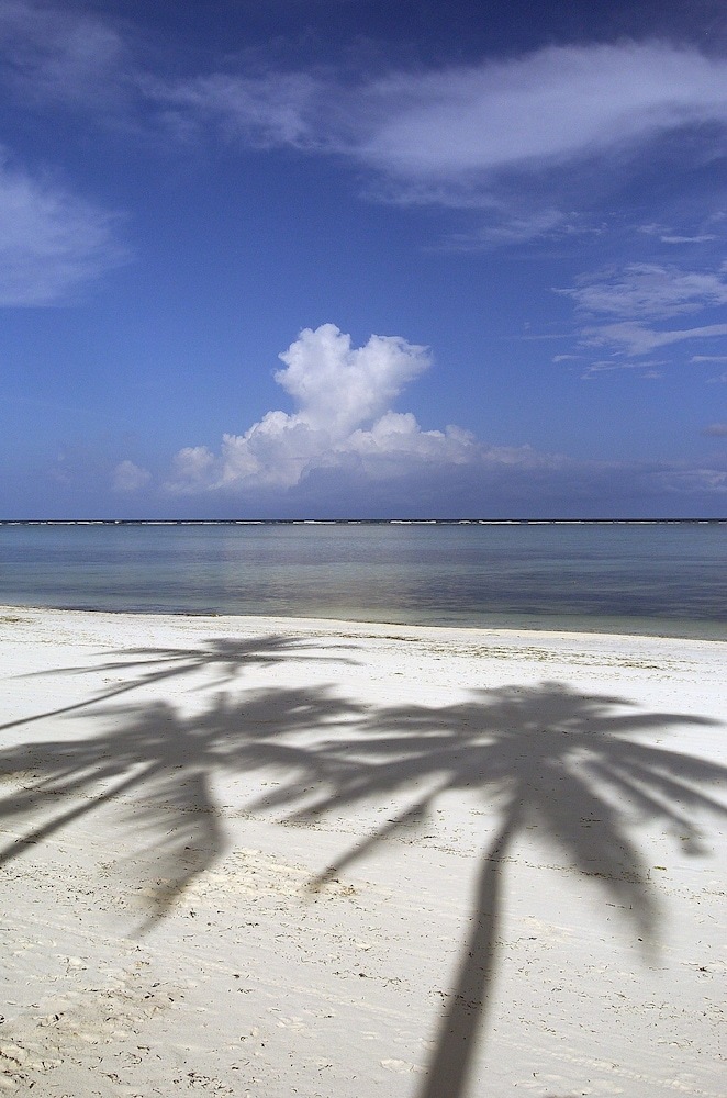 Hotel The Palms Zanzibar - All Inclusive