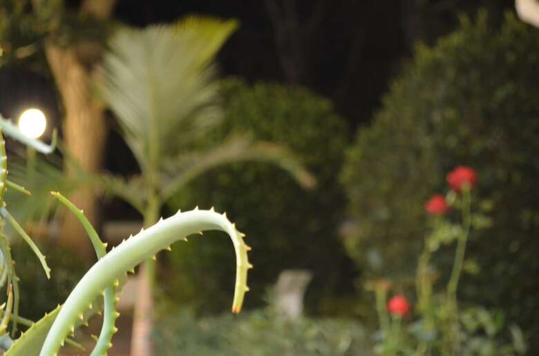 Apollon Hotel