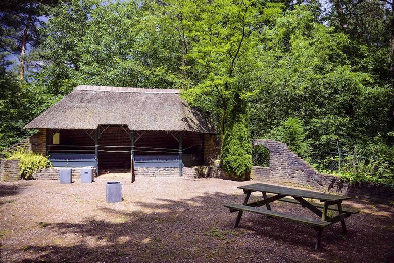 Fletcher Hotel-restaurant De Wipselberg-veluwe