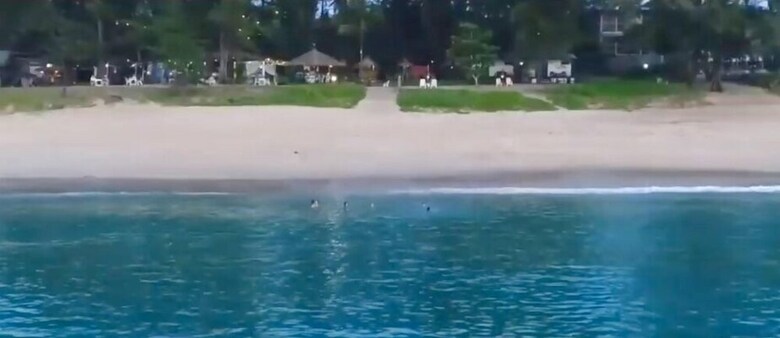 Micky Monkey Beach Hotel Phuket Maikhao Thailand