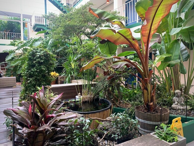 Hotel Oasis Inn