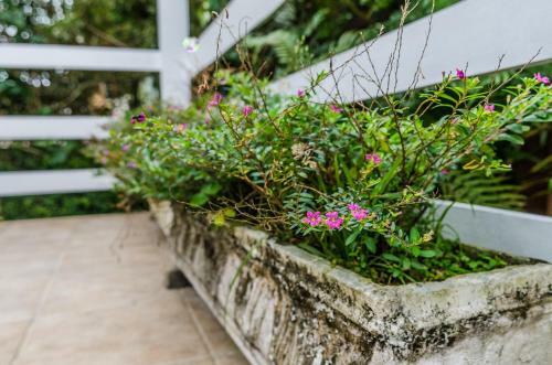 Hostal Pousada Vila Da Praia