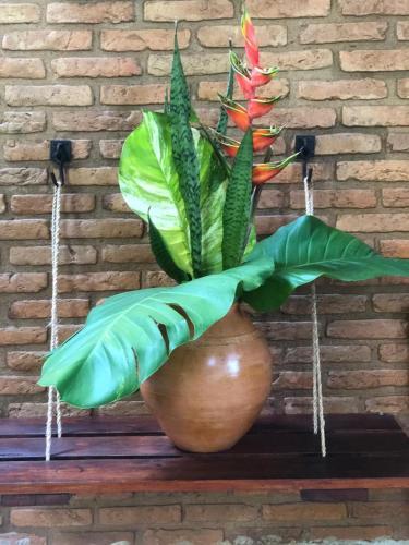 Hostal Lua Pousada