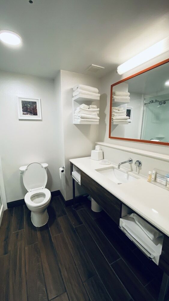 Hotel Hampton Inn Birmingham-colonnade 280