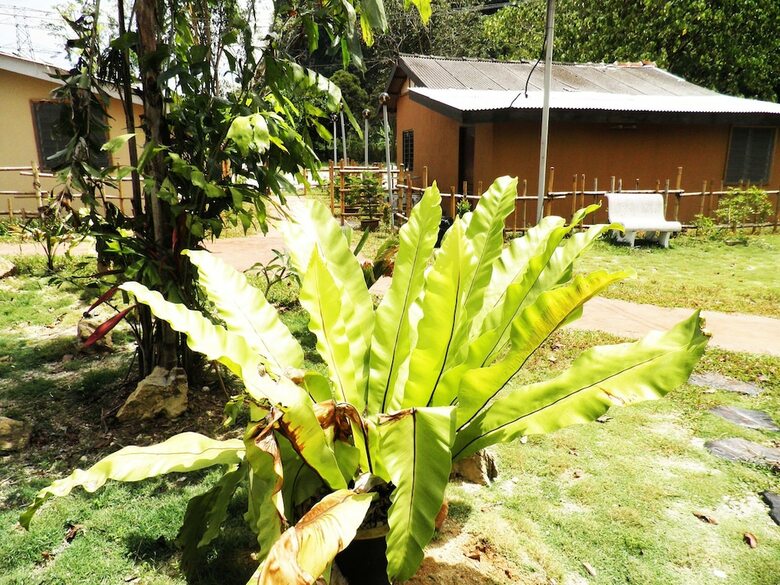 Hotel Efm Guest House