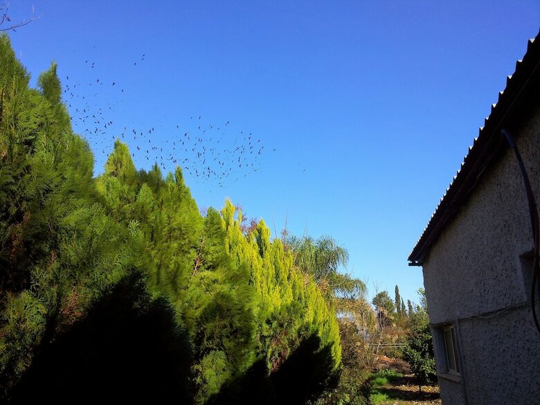 At Our Yard - Vacation Apartments In Upper Galilee