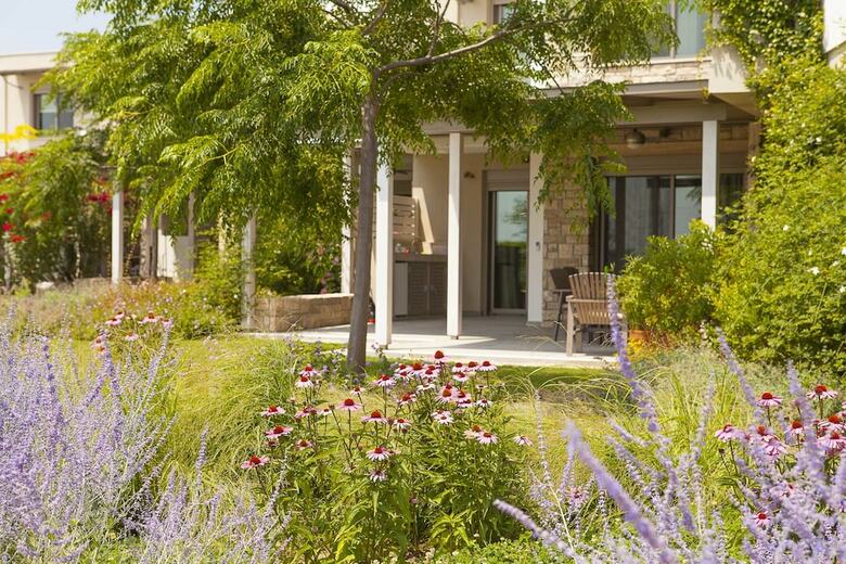 Ammouda Villas