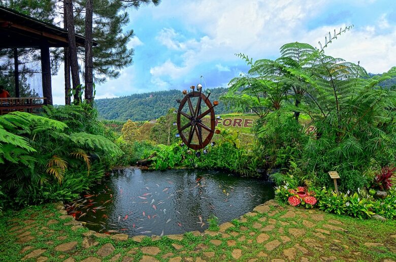 Apartamento Dahilayan Forest Park Resort