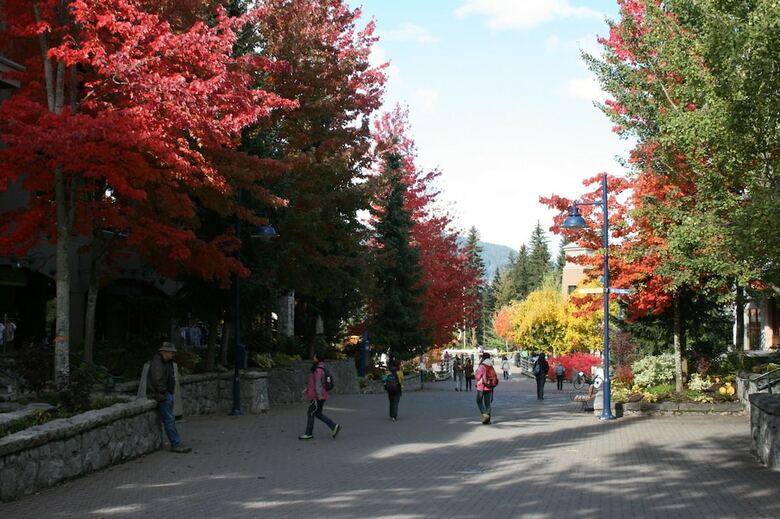 Whistler Blackcomb Vr At Town Plaza