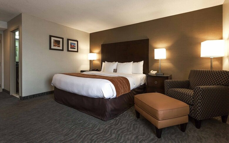 Hotel Comfort Inn Downers Grove - Lombard