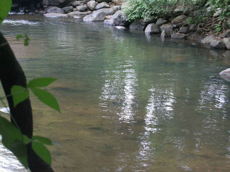 Hotel River Garden Resort