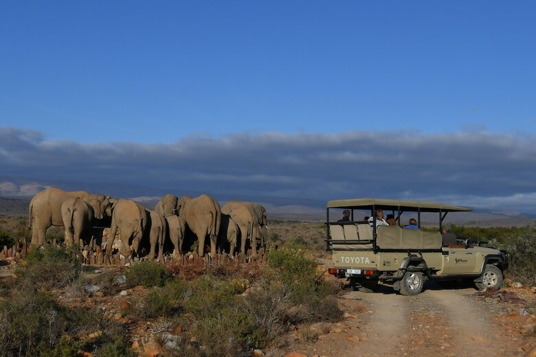 Posada Sanbona Wildlife Reserve