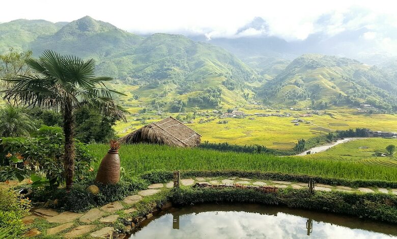 Hotel Eco Palms House - Sapa Retreat
