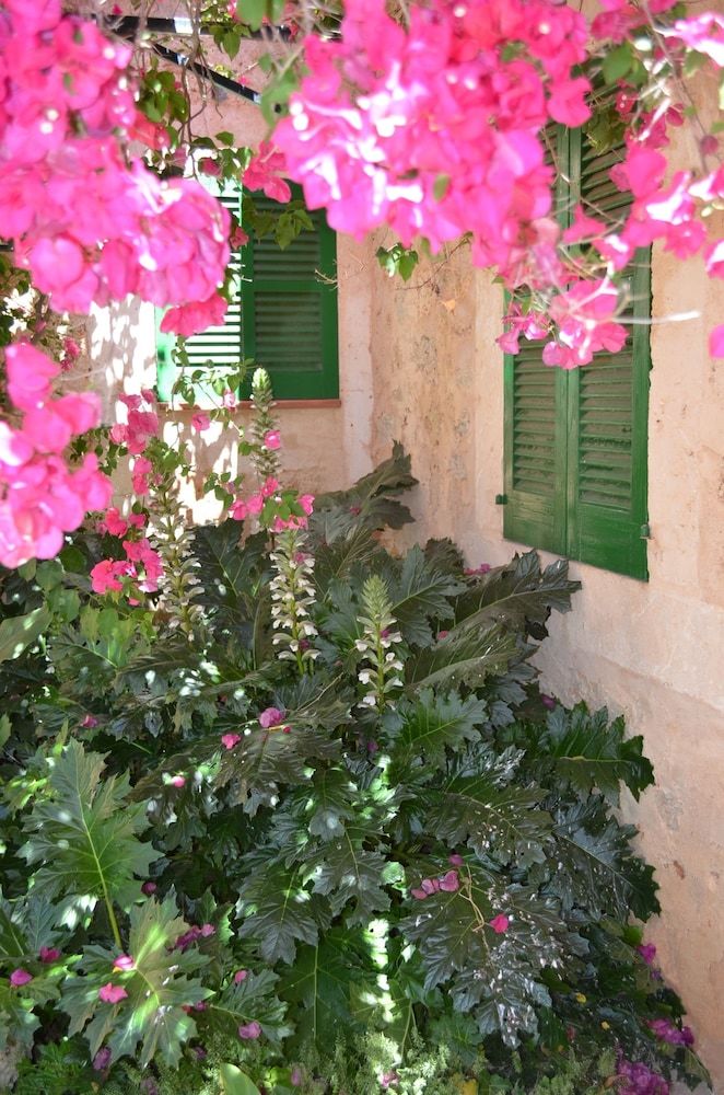 Agroturismo Sa Casa Rotja