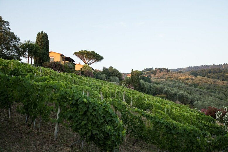 Apartamento Agriturismo Casa Italia
