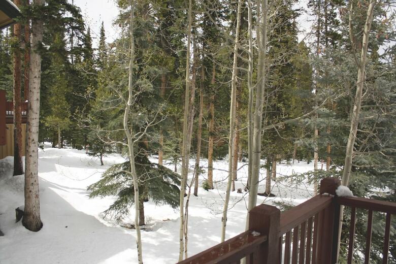 White Wolf #890 By Peak Property Management