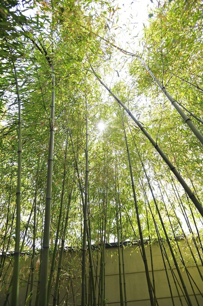 Chikuba Shinyotei