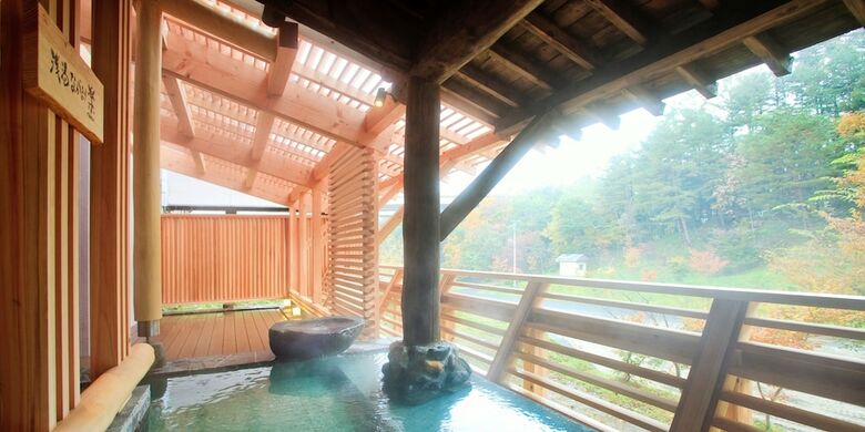 Hotel Shin Appi Onsen Seiryukaku