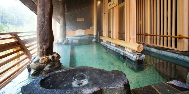 Hotel Shin Appi Onsen Seiryukaku