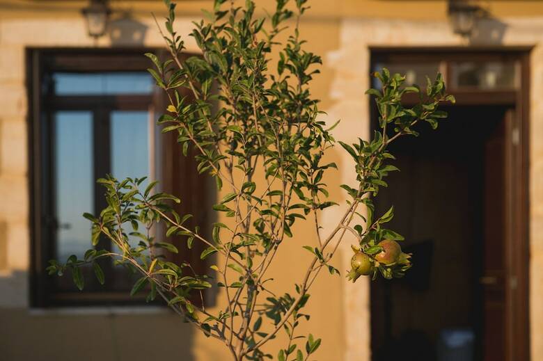 Hotel Lameriana Luxury Village