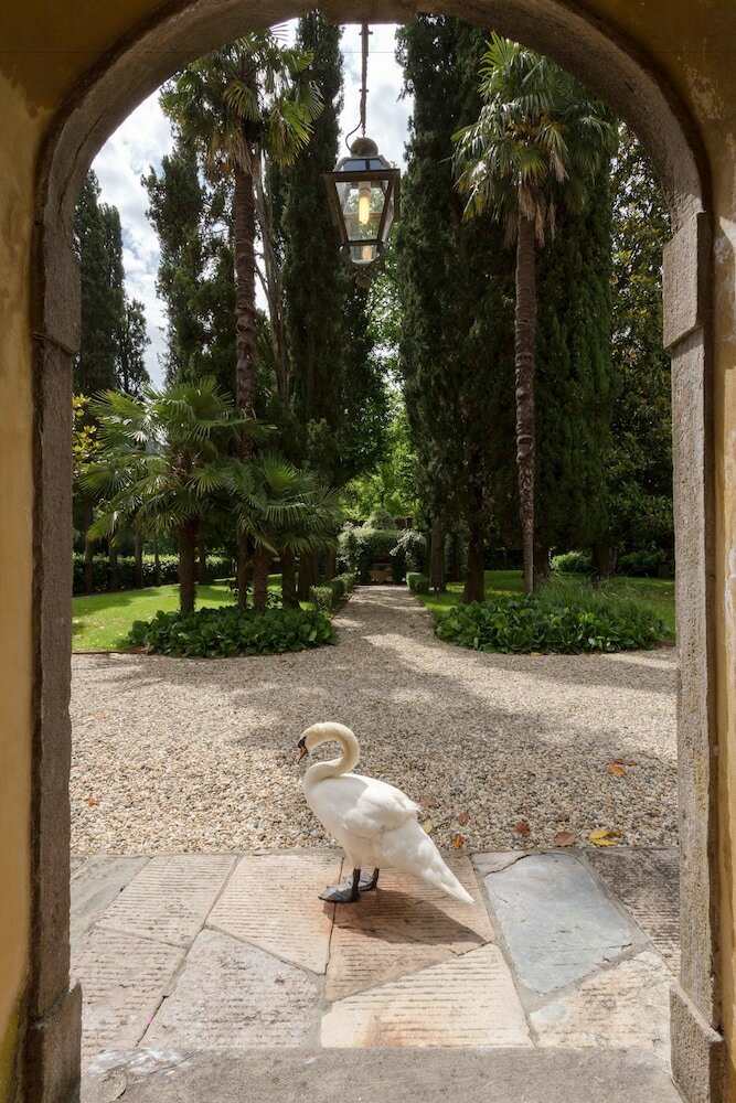 Coselli's Collection Luxury Villas Rental