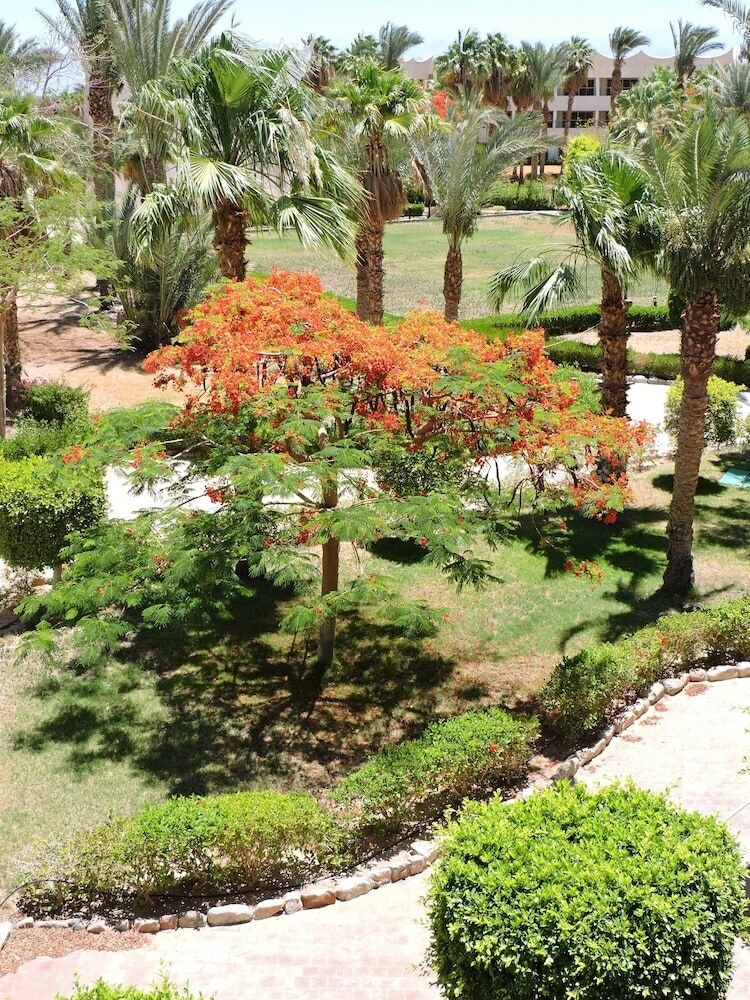 Hotel Coral Resort Nuweiba