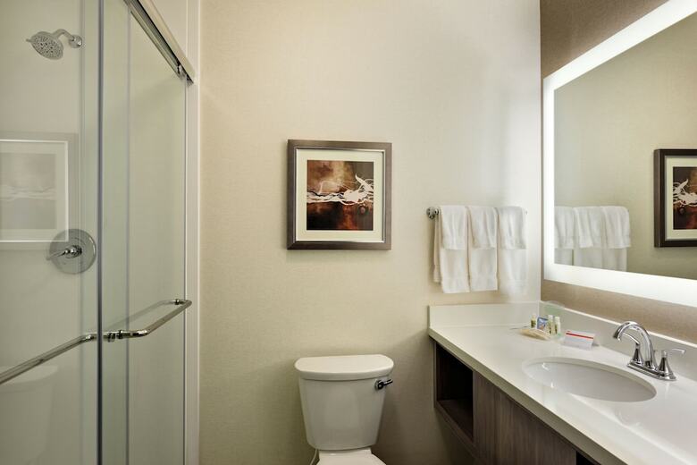 Hotel Holiday Inn St. George Conv Ctr