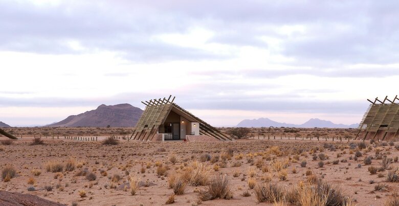 Desert Quiver Camp