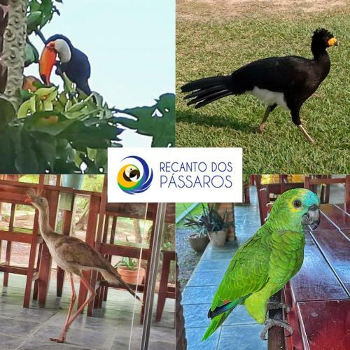 Hostal Pousada Recanto Dos Passaros