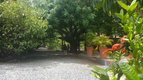 Hostal Eco Pousada Villa Verde