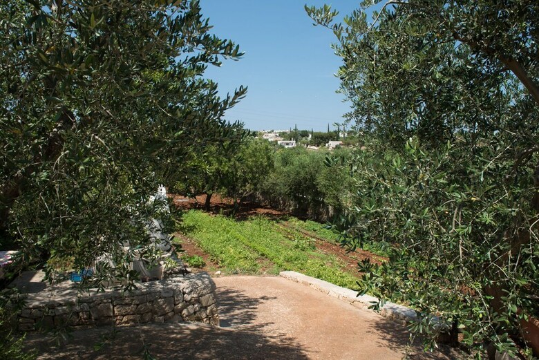 Agroturismo Agriturismo Salinola