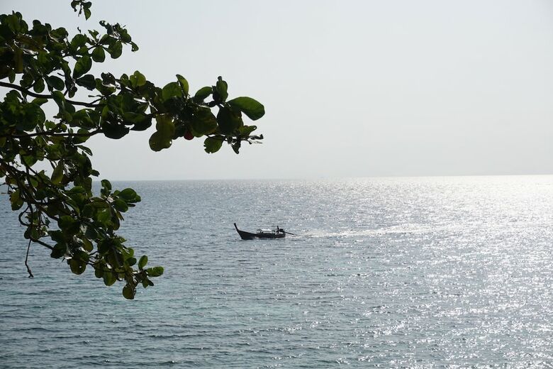 Hotel The Cove Phi Phi