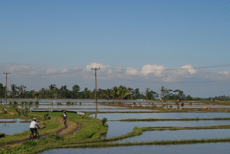 Hotel Tepi Sawah Lodge