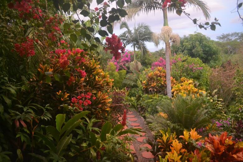Bed & Breakfast Eden Atenas
