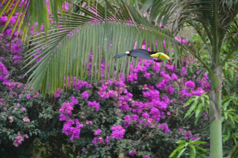 Bed & Breakfast Eden Atenas