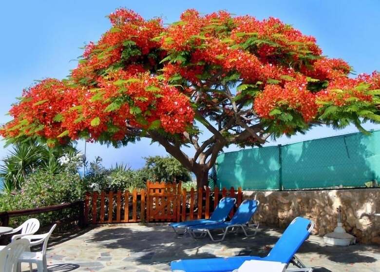 Rododafni Beach Apartments