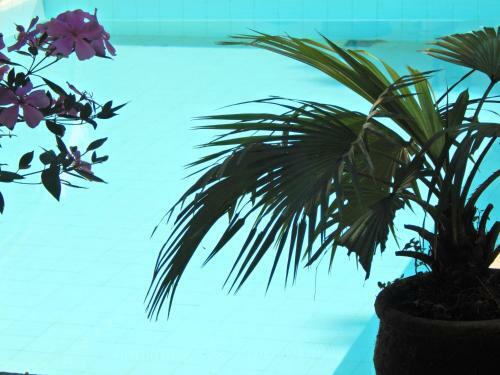 Bed & Breakfast Casa S�o Conrado