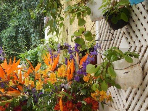 Bed & Breakfast Casa S�o Conrado