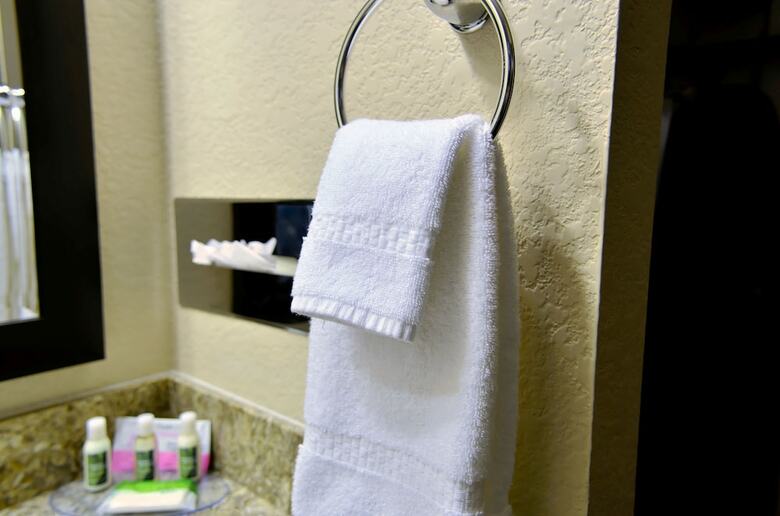 Hotel Cobblestone Inn & Suites - Holstein
