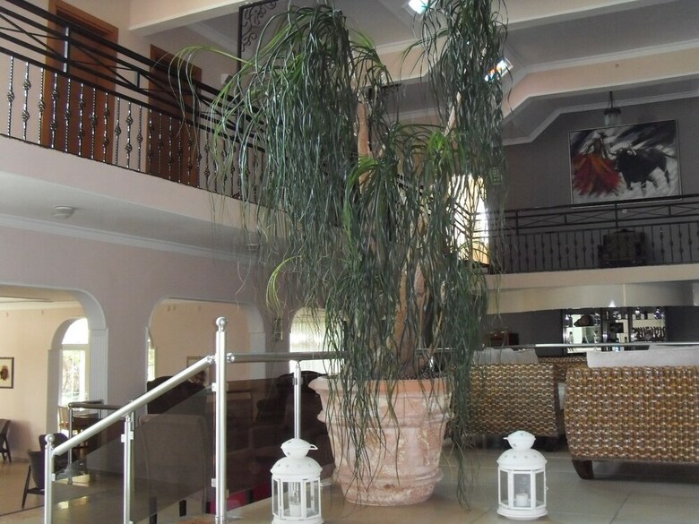 La Rosa Hotel