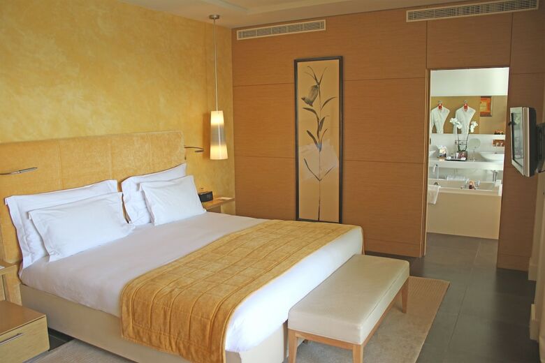 Monte-carlo Bay Hotel & Resort